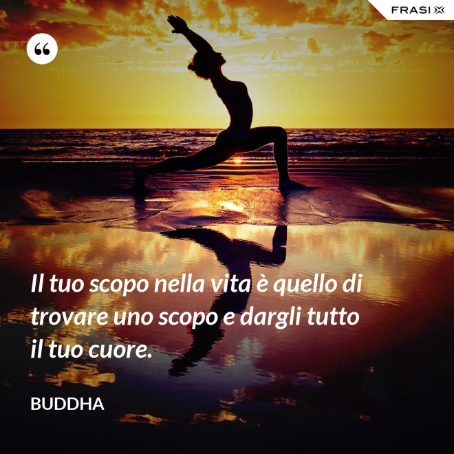 Il tuo scopo nella vita è quello di trovare uno scopo e dargli tutto il tuo cuore. - Buddha