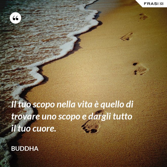 Il tuo scopo nella vita è quello di trovare uno scopo e dargli tutto il tuo cuore. - Buddha