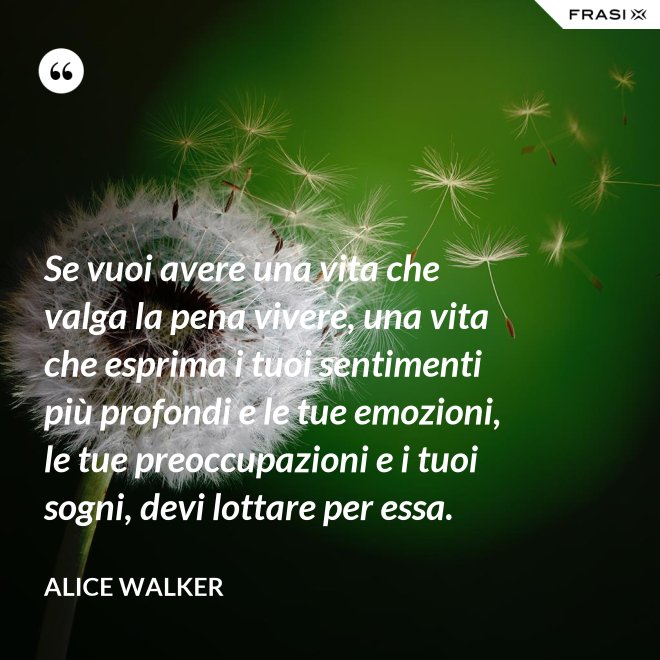 Se vuoi avere una vita che valga la pena vivere, una vita che esprima i tuoi sentimenti più profondi e le tue emozioni, le tue preoccupazioni e i tuoi sogni, devi lottare per essa. - Alice Walker