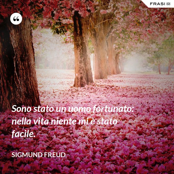 Sono stato un uomo fortunato: nella vita niente mi è stato facile. - Sigmund Freud