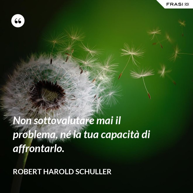 Non sottovalutare mai il problema, né la tua capacità di affrontarlo. - Robert Harold Schuller