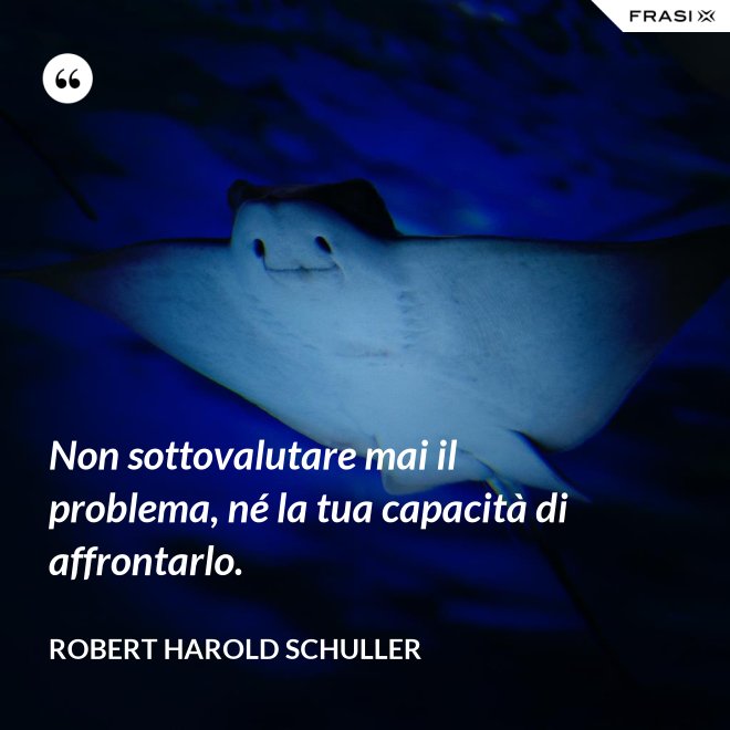 Non sottovalutare mai il problema, né la tua capacità di affrontarlo. - Robert Harold Schuller