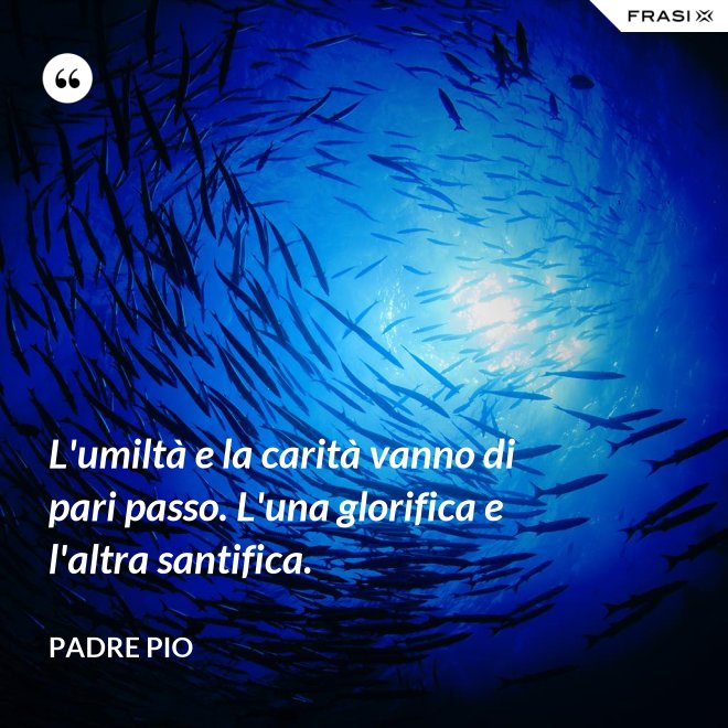L'umiltà e la carità vanno di pari passo. L'una glorifica e l'altra santifica. - Padre Pio