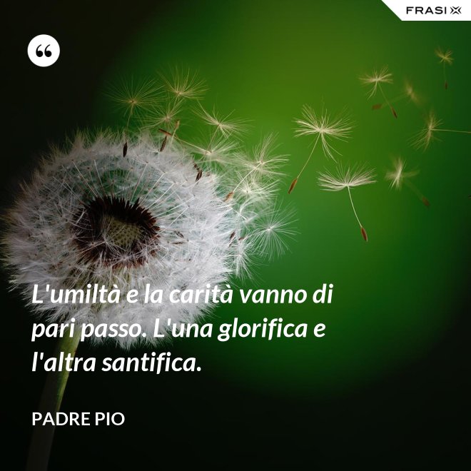 L'umiltà e la carità vanno di pari passo. L'una glorifica e l'altra santifica. - Padre Pio