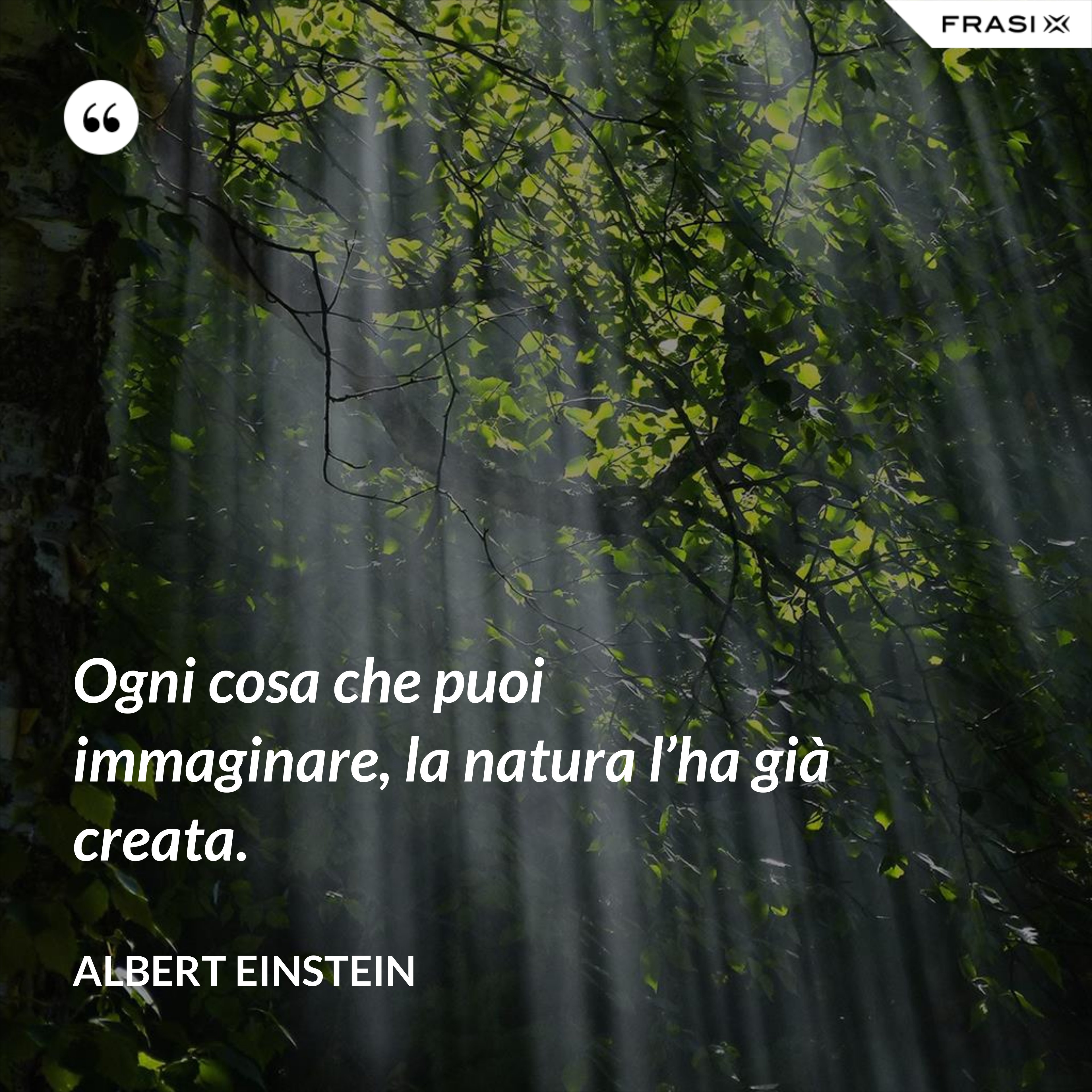 Ogni cosa che puoi immaginare, la natura l’ha già creata. - Albert Einstein