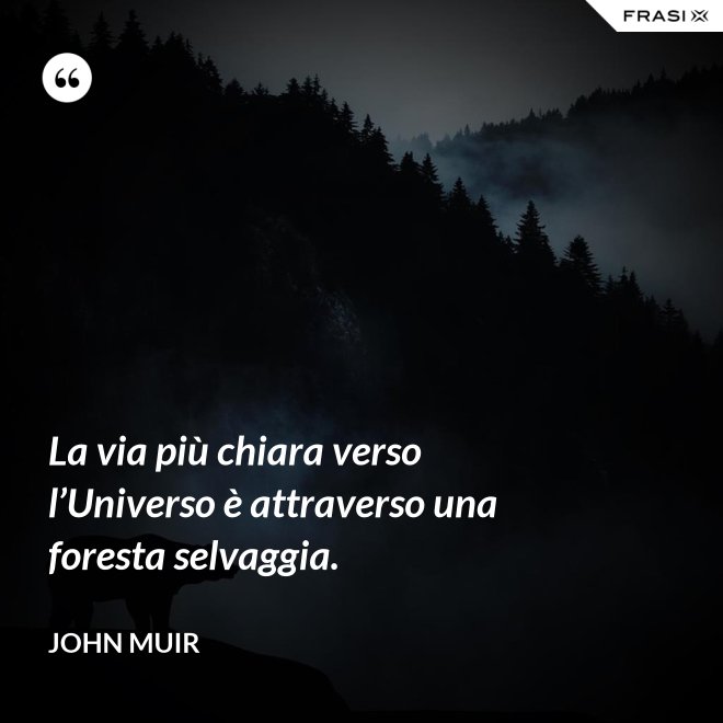 La via più chiara verso l’Universo è attraverso una foresta selvaggia. - John Muir