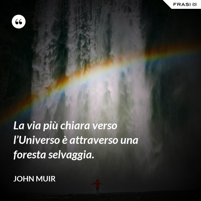La via più chiara verso l’Universo è attraverso una foresta selvaggia. - John Muir