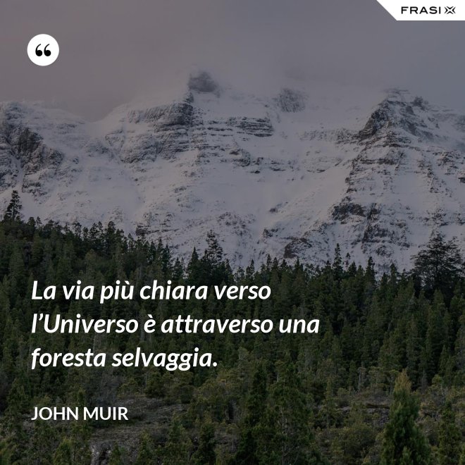 La via più chiara verso l’Universo è attraverso una foresta selvaggia. - John Muir