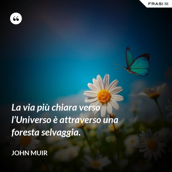 La via più chiara verso l’Universo è attraverso una foresta selvaggia. - John Muir