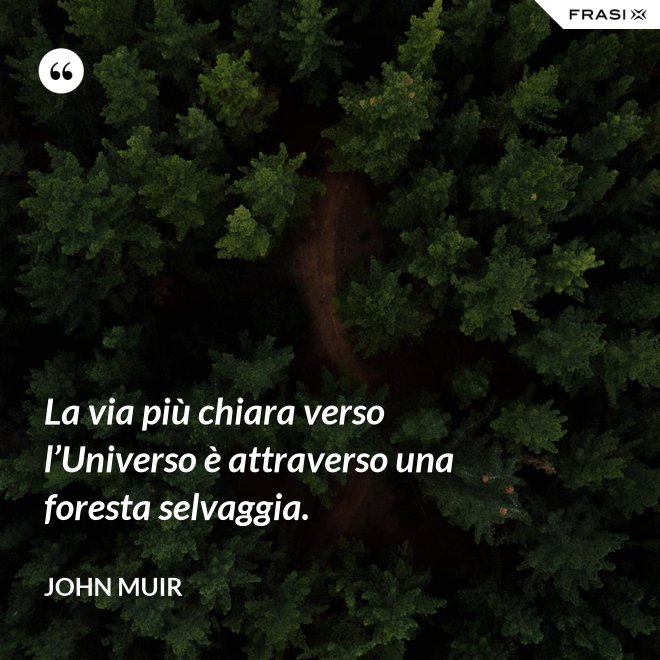 La via più chiara verso l’Universo è attraverso una foresta selvaggia. - John Muir