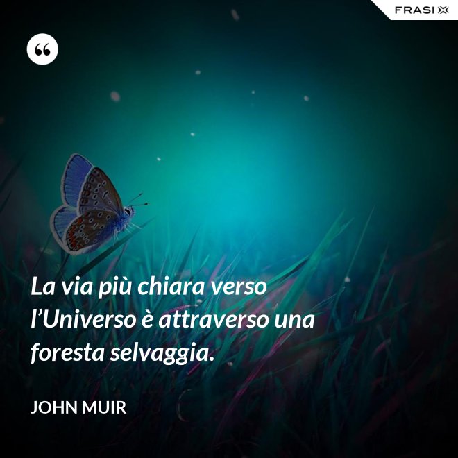 La via più chiara verso l’Universo è attraverso una foresta selvaggia. - John Muir
