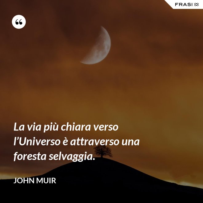 La via più chiara verso l’Universo è attraverso una foresta selvaggia. - John Muir