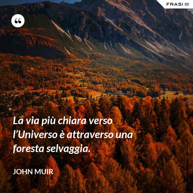 La via più chiara verso l’Universo è attraverso una foresta selvaggia. - John Muir