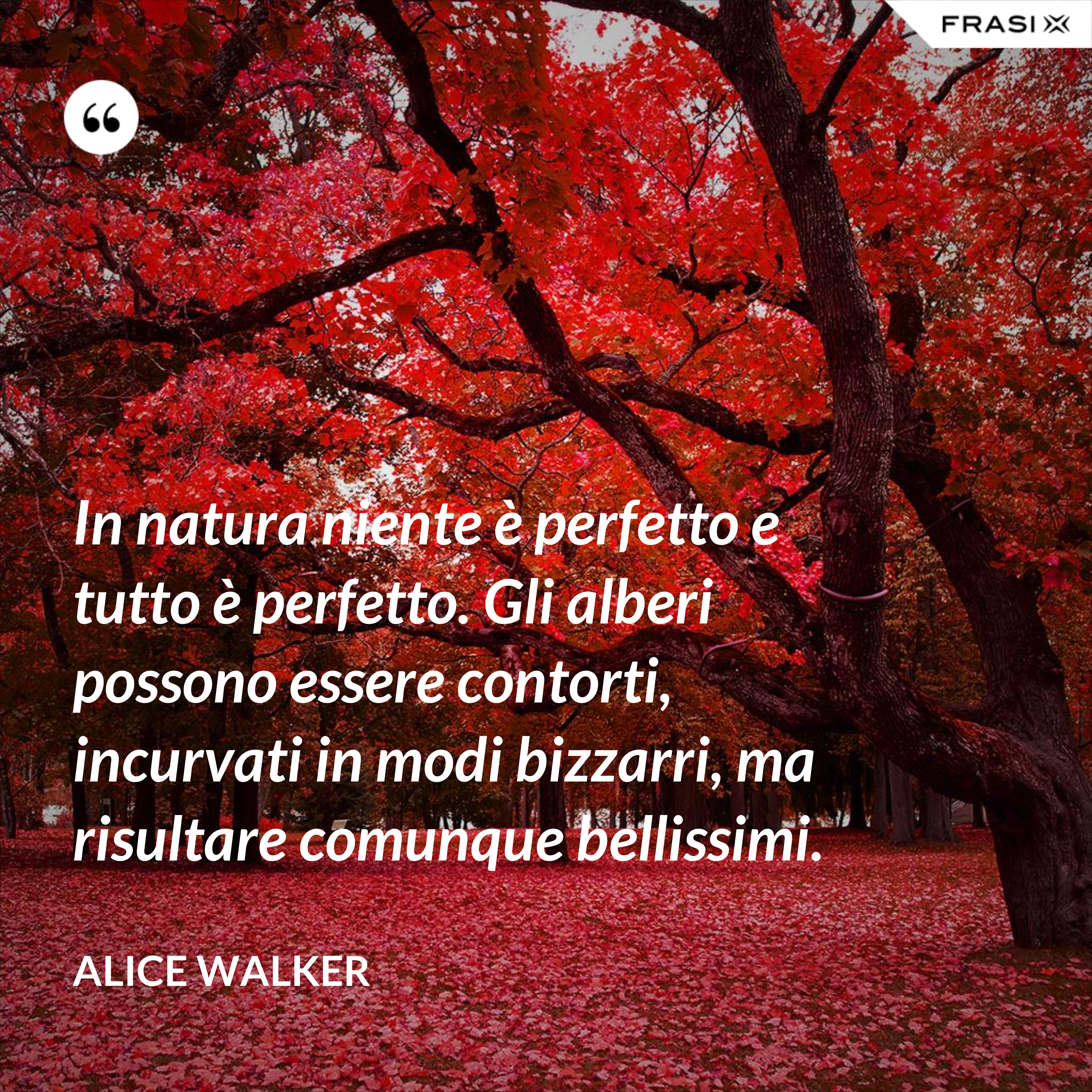 In natura niente è perfetto e tutto è perfetto. Gli alberi possono essere contorti, incurvati in modo bizzarri, ma risultare comunque bellissimi. - Alice Walker