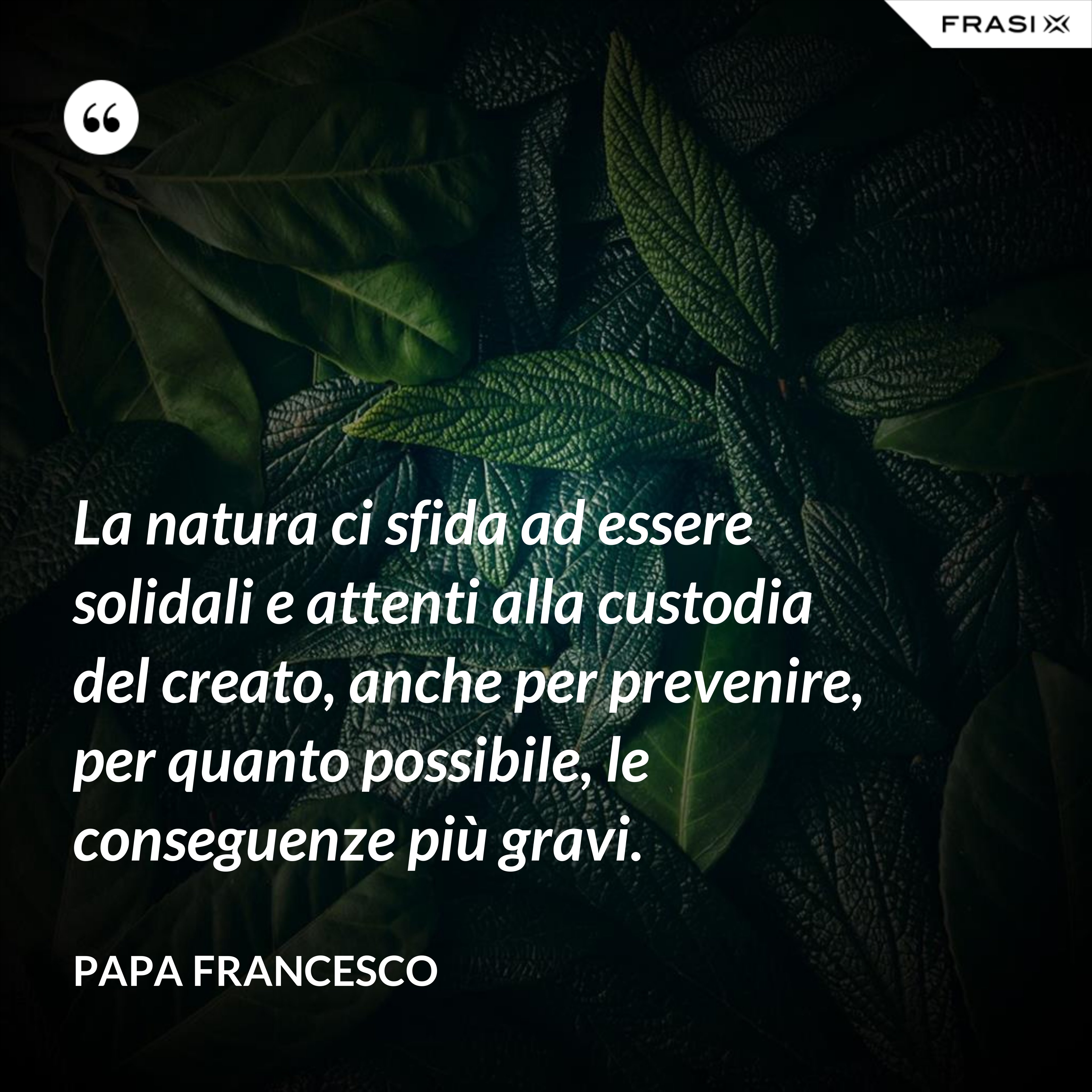 La natura ci sfida ad essere solidali e attenti alla custodia del creato, anche per prevenire, per quanto possibile, le conseguenze più gravi. - Papa Francesco
