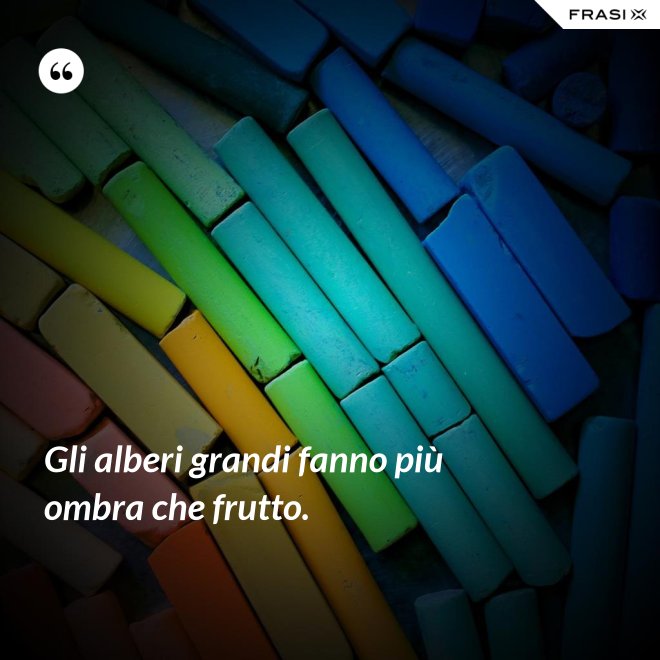 Gli alberi grandi fanno più ombra che frutto. - Anonimo