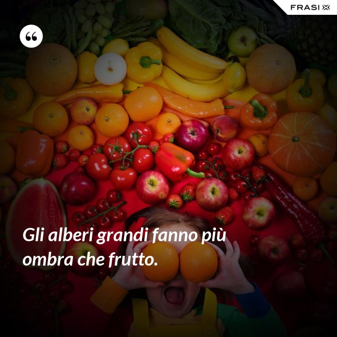 Gli alberi grandi fanno più ombra che frutto. - Anonimo