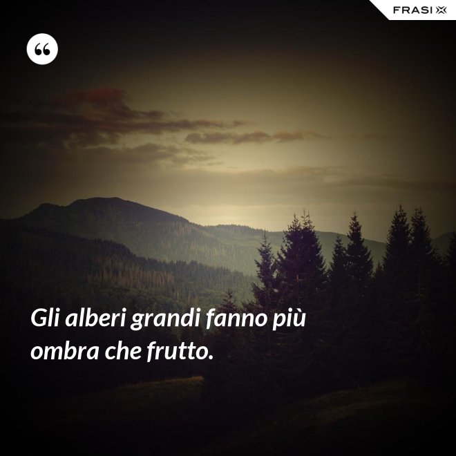 Gli alberi grandi fanno più ombra che frutto. - Anonimo