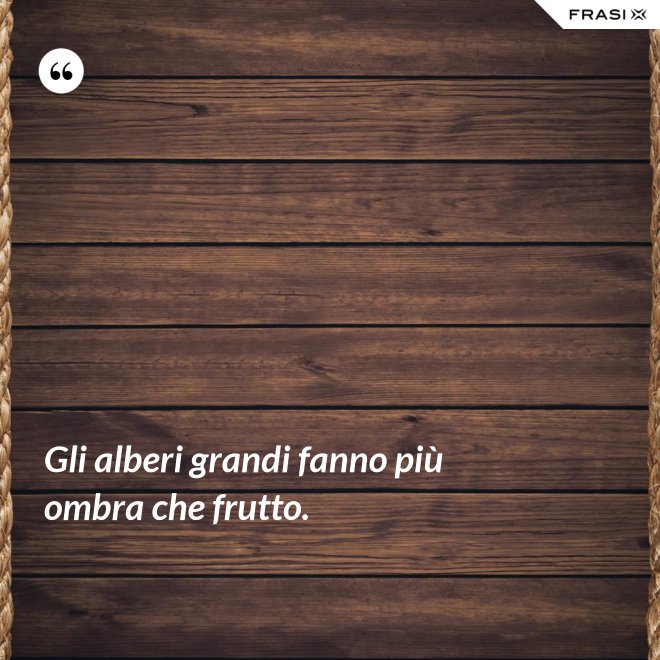 Gli alberi grandi fanno più ombra che frutto. - Anonimo