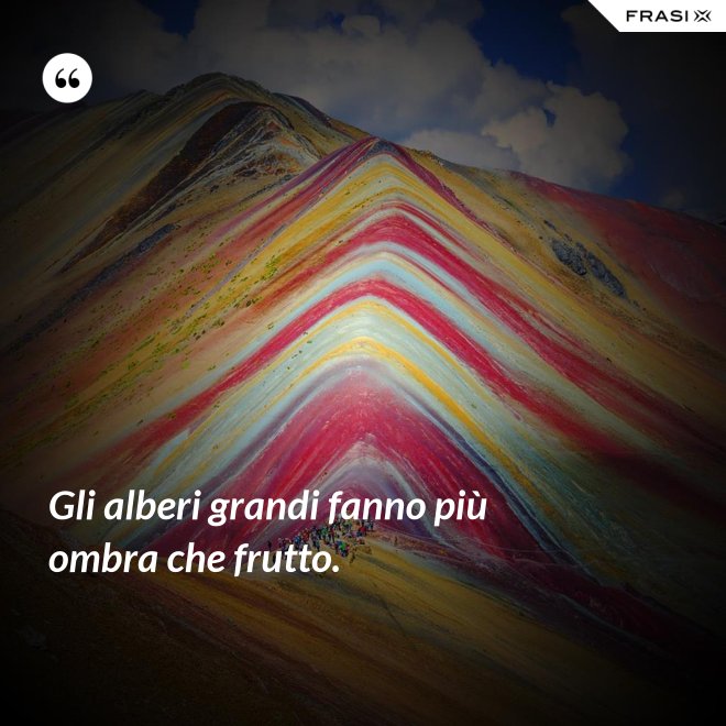 Gli alberi grandi fanno più ombra che frutto. - Anonimo
