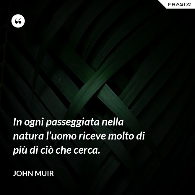 In ogni passeggiata nella natura l’uomo riceve molto di più di ciò che cerca. - John Muir