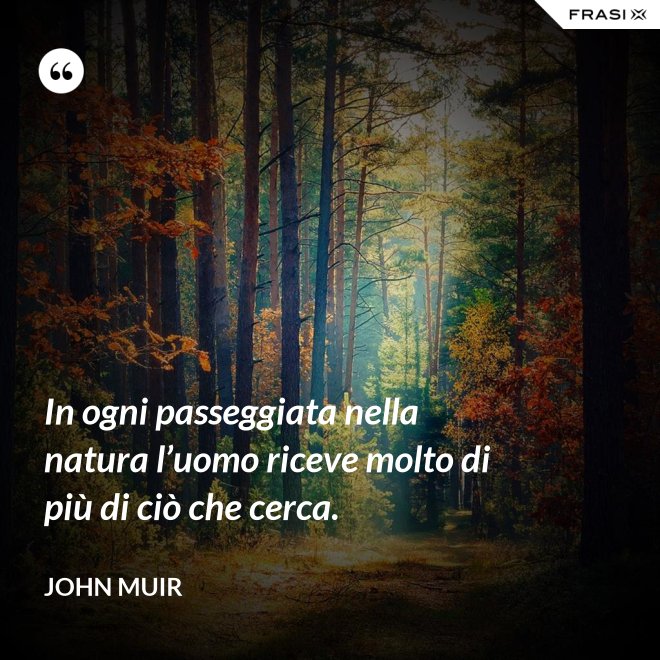In ogni passeggiata nella natura l’uomo riceve molto di più di ciò che cerca. - John Muir