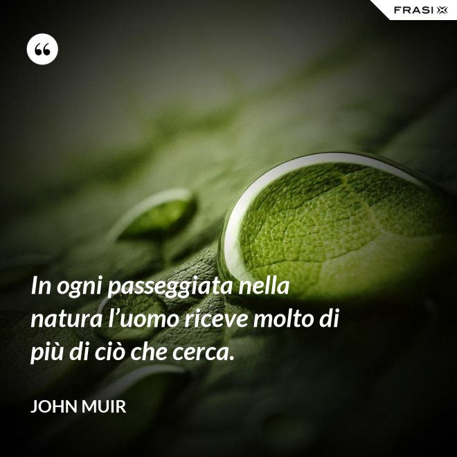 In ogni passeggiata nella natura l’uomo riceve molto di più di ciò che cerca. - John Muir