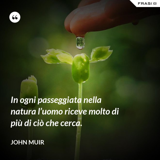 In ogni passeggiata nella natura l’uomo riceve molto di più di ciò che cerca. - John Muir