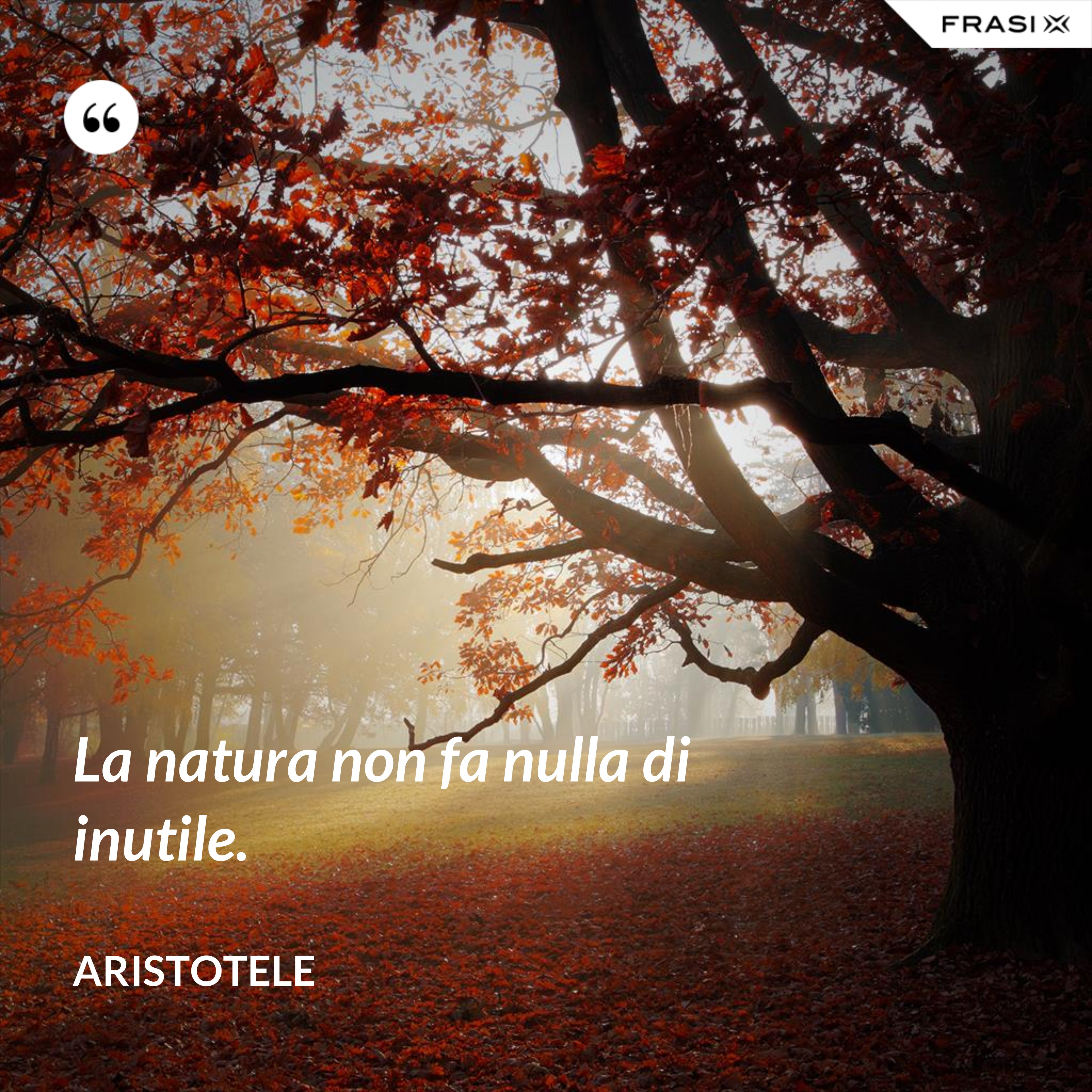La natura non fa nulla di inutile. - Aristotele
