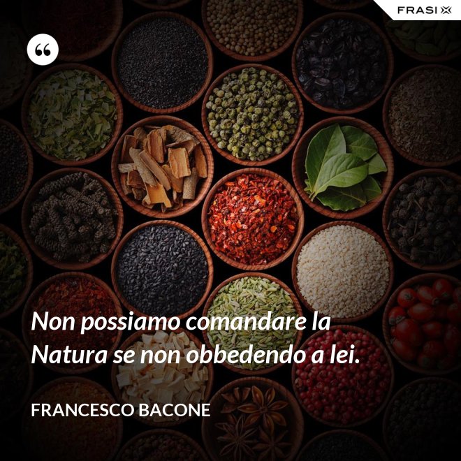 Non possiamo comandare la Natura se non obbedendo a lei. - Francesco Bacone