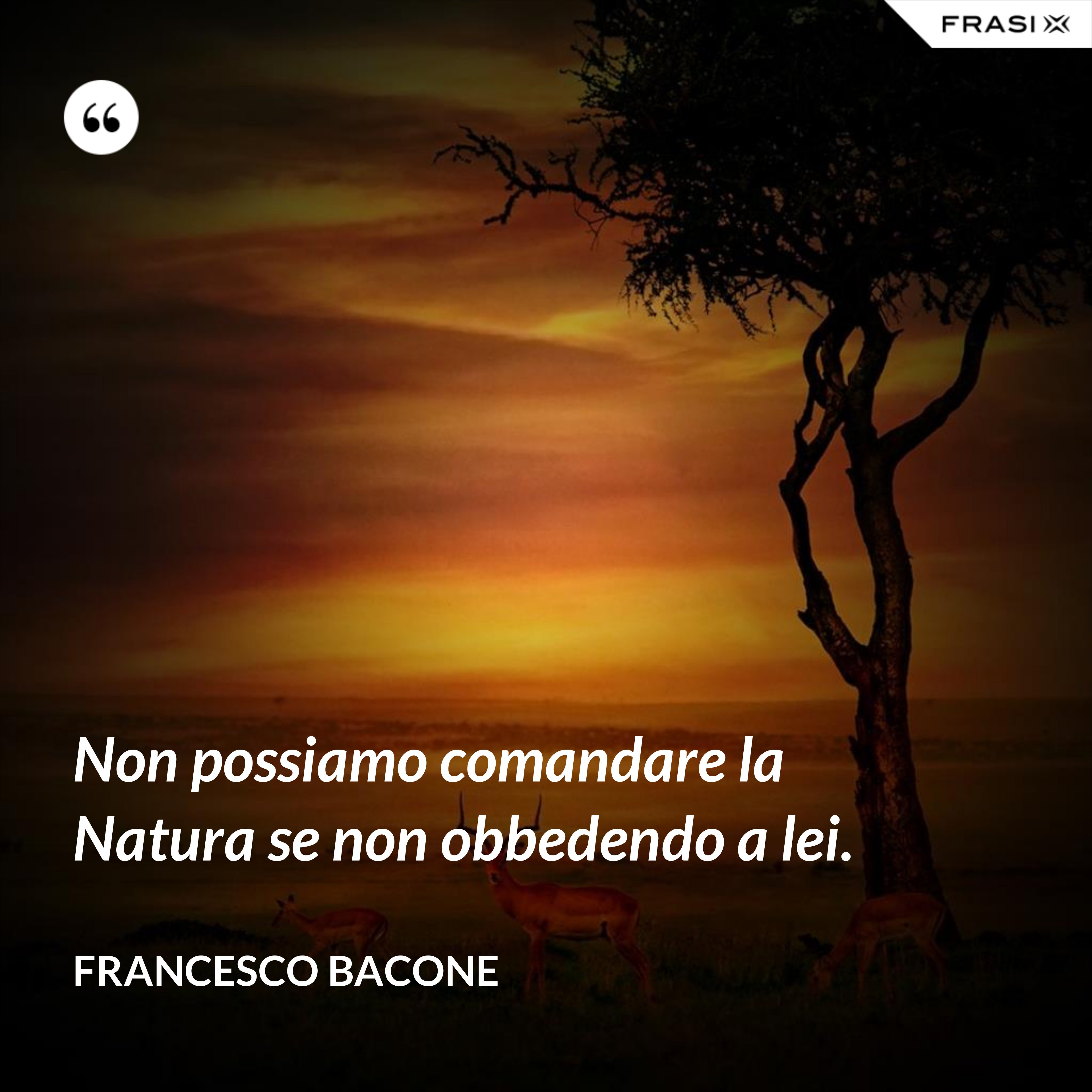 Non possiamo comandare la Natura se non obbedendo a lei. - Francesco Bacone