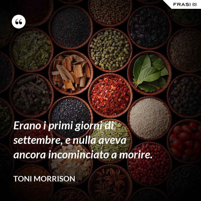 Erano i primi giorni di settembre, e nulla aveva ancora incominciato a morire. - Toni Morrison