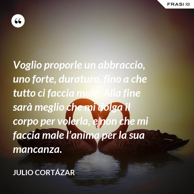 Voglio proporle un abbraccio, uno forte, duraturo, fino a che tutto ci faccia male. Alla fine sarà meglio che mi dolga il corpo per volerla, e non che mi faccia male l’anima per la sua mancanza. - Julio Cortázar