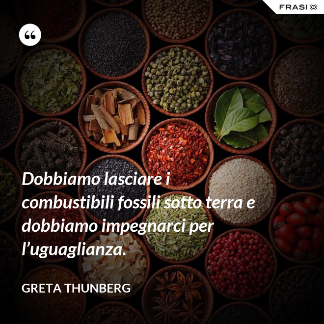 Dobbiamo lasciare i combustibili fossili sotto terra e dobbiamo impegnarci per l’uguaglianza. - Greta Thunberg