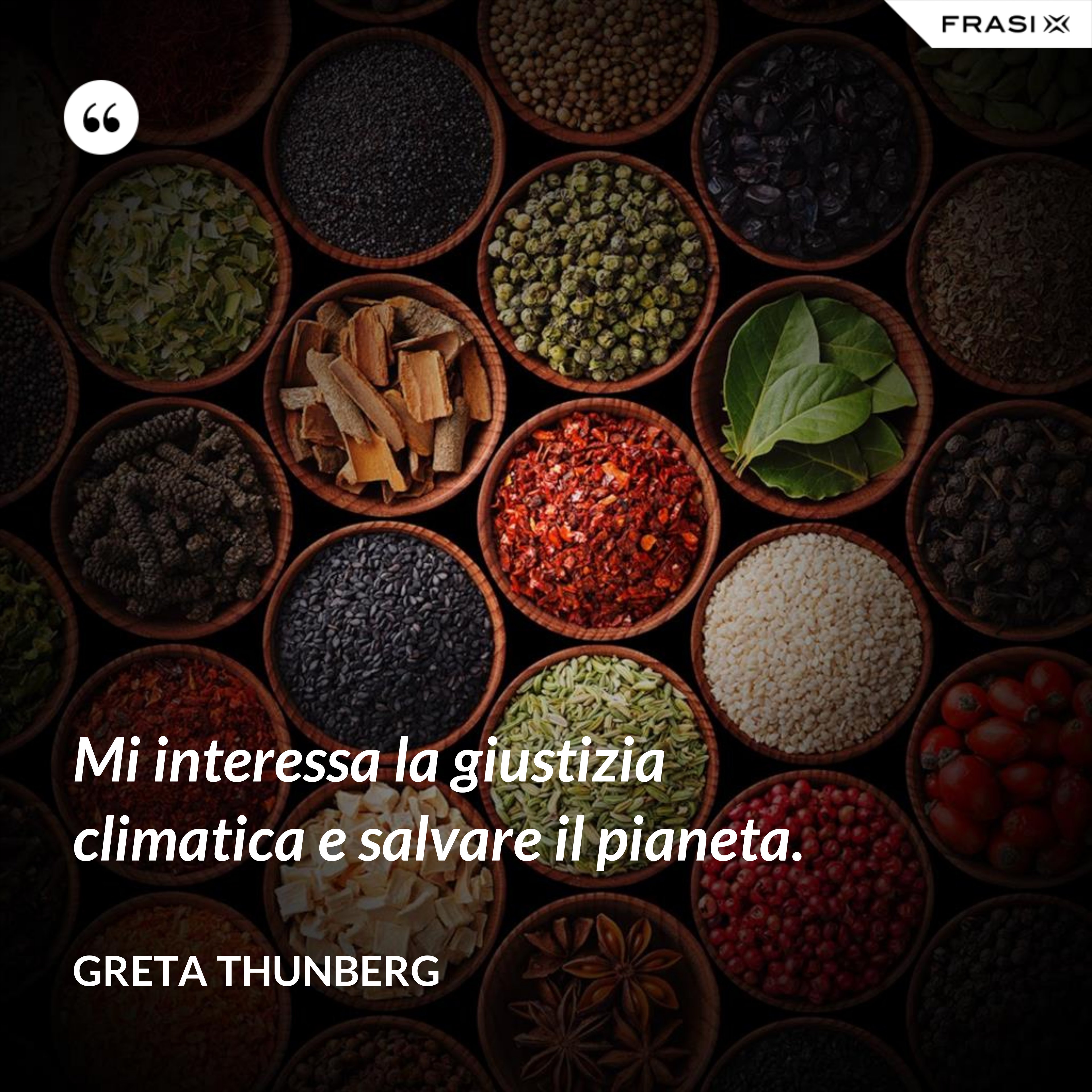 Mi interessa la giustizia climatica e salvare il pianeta. - Greta Thunberg