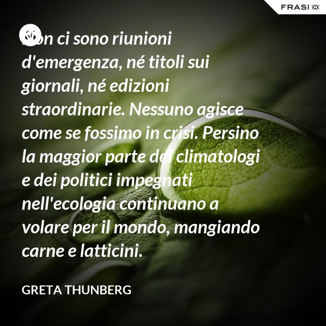 Non ci sono riunioni d'emergenza, né titoli sui giornali, né edizioni straordinarie. Nessuno agisce come se fossimo in crisi. Persino la maggior parte dei climatologi e dei politici impegnati nell'ecologia continuano a volare per il mondo, mangiando carne e latticini. - Greta Thunberg