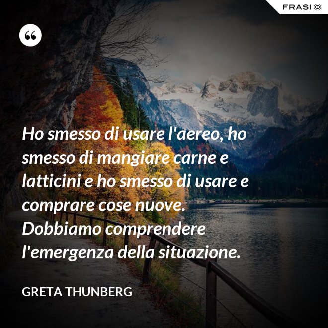 Ho smesso di usare l'aereo, ho smesso di mangiare carne e latticini e ho smesso di usare e comprare cose nuove. Dobbiamo comprendere l'emergenza della situazione. - Greta Thunberg
