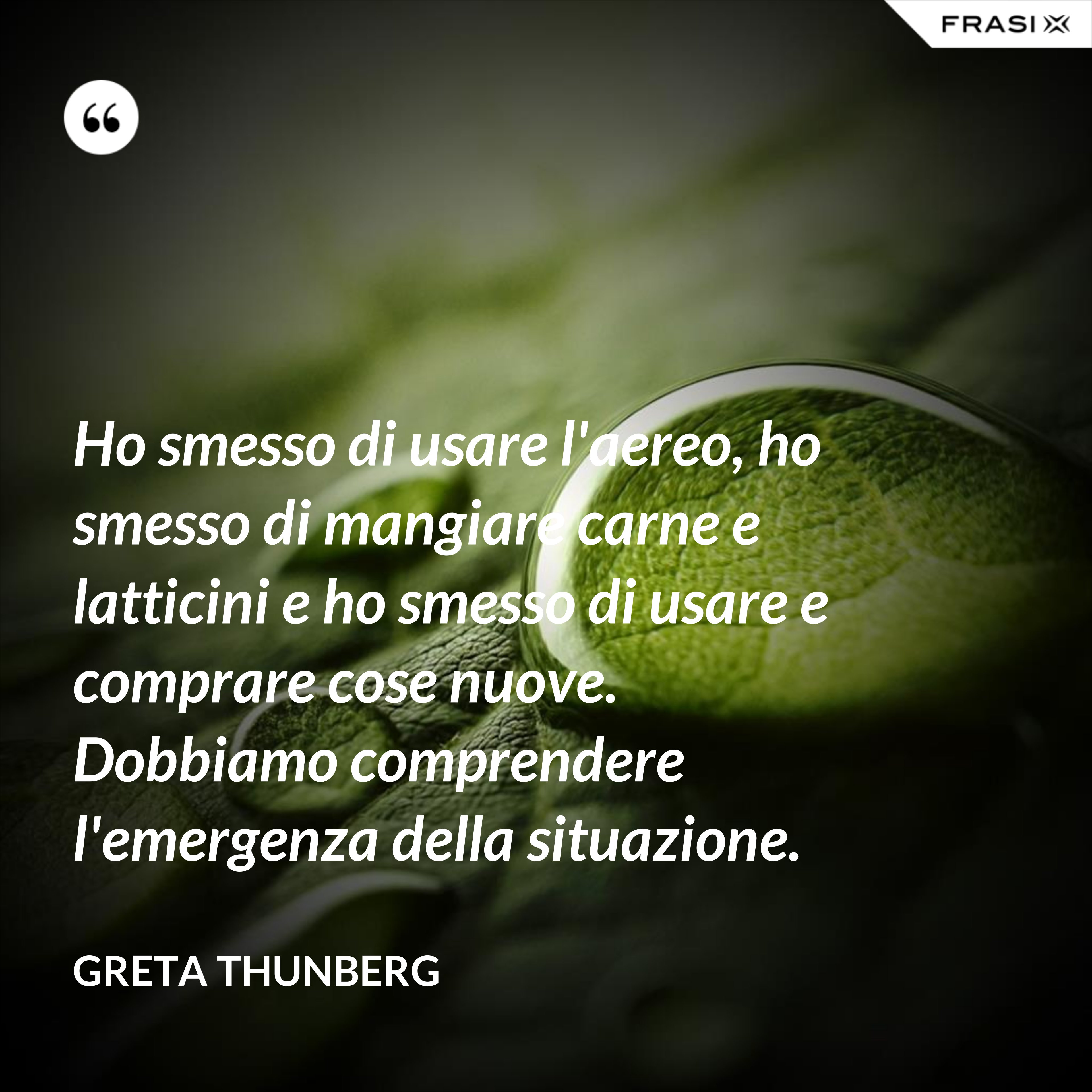 Ho smesso di usare l'aereo, ho smesso di mangiare carne e latticini e ho smesso di usare e comprare cose nuove. Dobbiamo comprendere l'emergenza della situazione. - Greta Thunberg