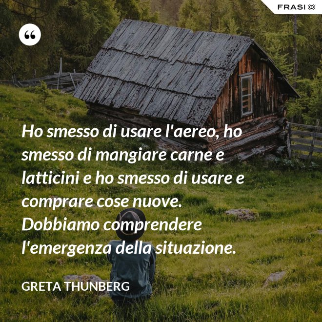 Ho smesso di usare l'aereo, ho smesso di mangiare carne e latticini e ho smesso di usare e comprare cose nuove. Dobbiamo comprendere l'emergenza della situazione. - Greta Thunberg