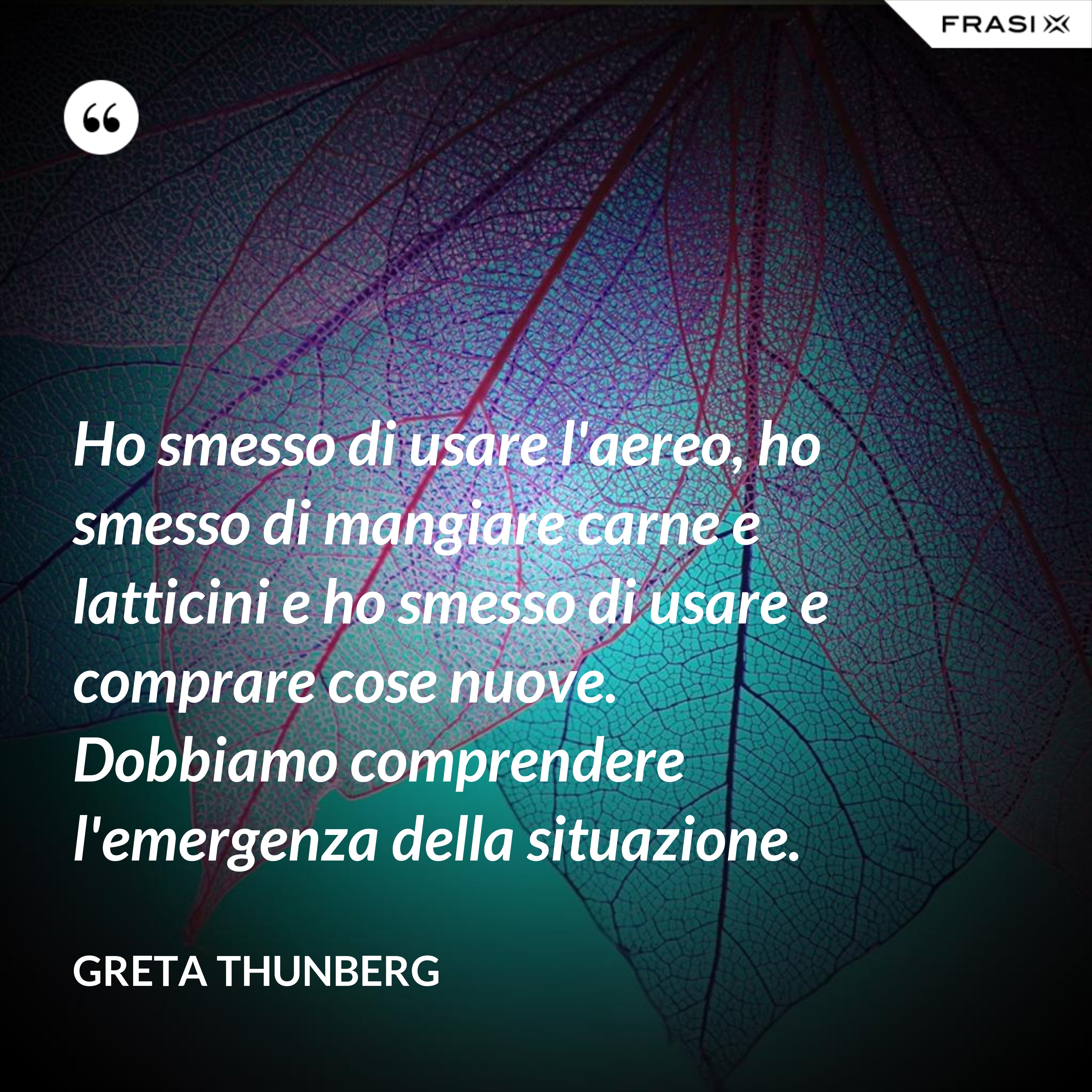 Ho smesso di usare l'aereo, ho smesso di mangiare carne e latticini e ho smesso di usare e comprare cose nuove. Dobbiamo comprendere l'emergenza della situazione. - Greta Thunberg