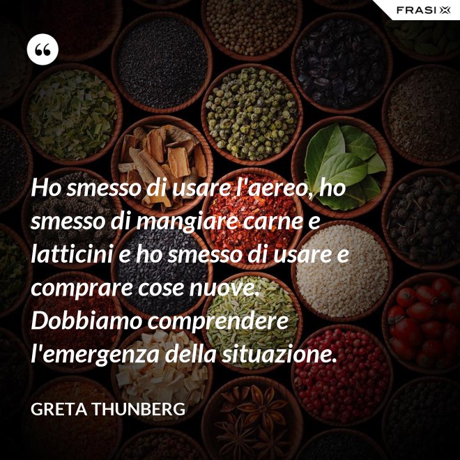 Ho smesso di usare l'aereo, ho smesso di mangiare carne e latticini e ho smesso di usare e comprare cose nuove. Dobbiamo comprendere l'emergenza della situazione. - Greta Thunberg