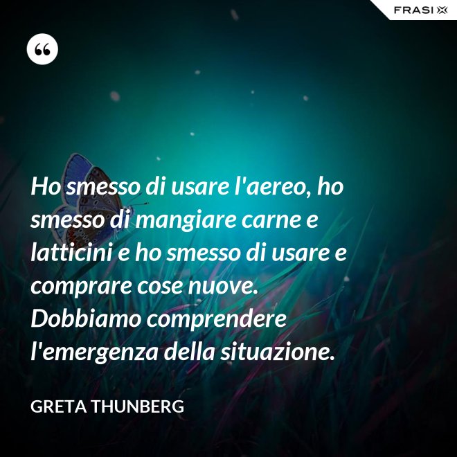 Ho smesso di usare l'aereo, ho smesso di mangiare carne e latticini e ho smesso di usare e comprare cose nuove. Dobbiamo comprendere l'emergenza della situazione. - Greta Thunberg