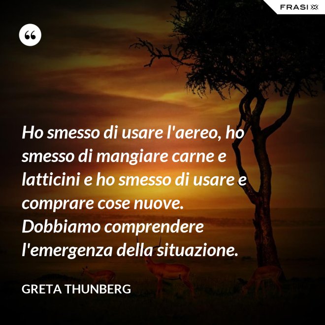 Ho smesso di usare l'aereo, ho smesso di mangiare carne e latticini e ho smesso di usare e comprare cose nuove. Dobbiamo comprendere l'emergenza della situazione. - Greta Thunberg