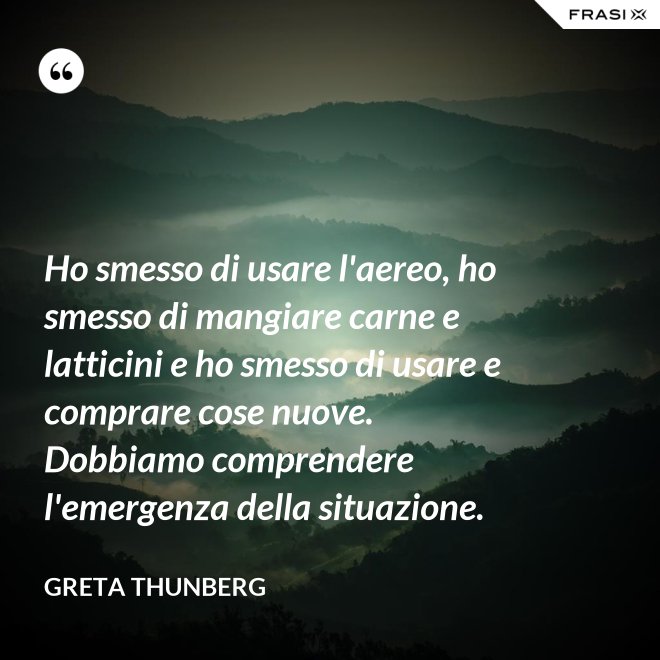 Ho smesso di usare l'aereo, ho smesso di mangiare carne e latticini e ho smesso di usare e comprare cose nuove. Dobbiamo comprendere l'emergenza della situazione. - Greta Thunberg