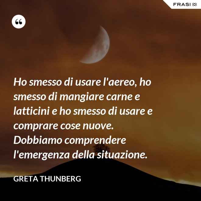 Ho smesso di usare l'aereo, ho smesso di mangiare carne e latticini e ho smesso di usare e comprare cose nuove. Dobbiamo comprendere l'emergenza della situazione. - Greta Thunberg