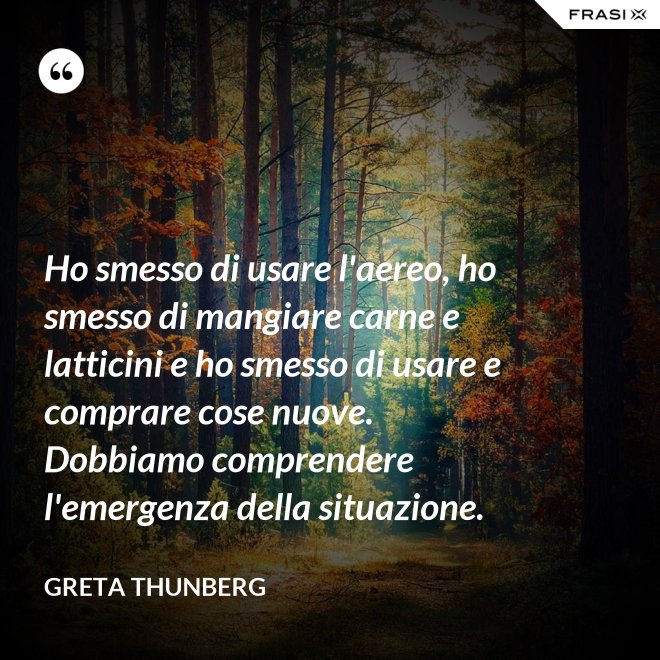 Ho smesso di usare l'aereo, ho smesso di mangiare carne e latticini e ho smesso di usare e comprare cose nuove. Dobbiamo comprendere l'emergenza della situazione. - Greta Thunberg