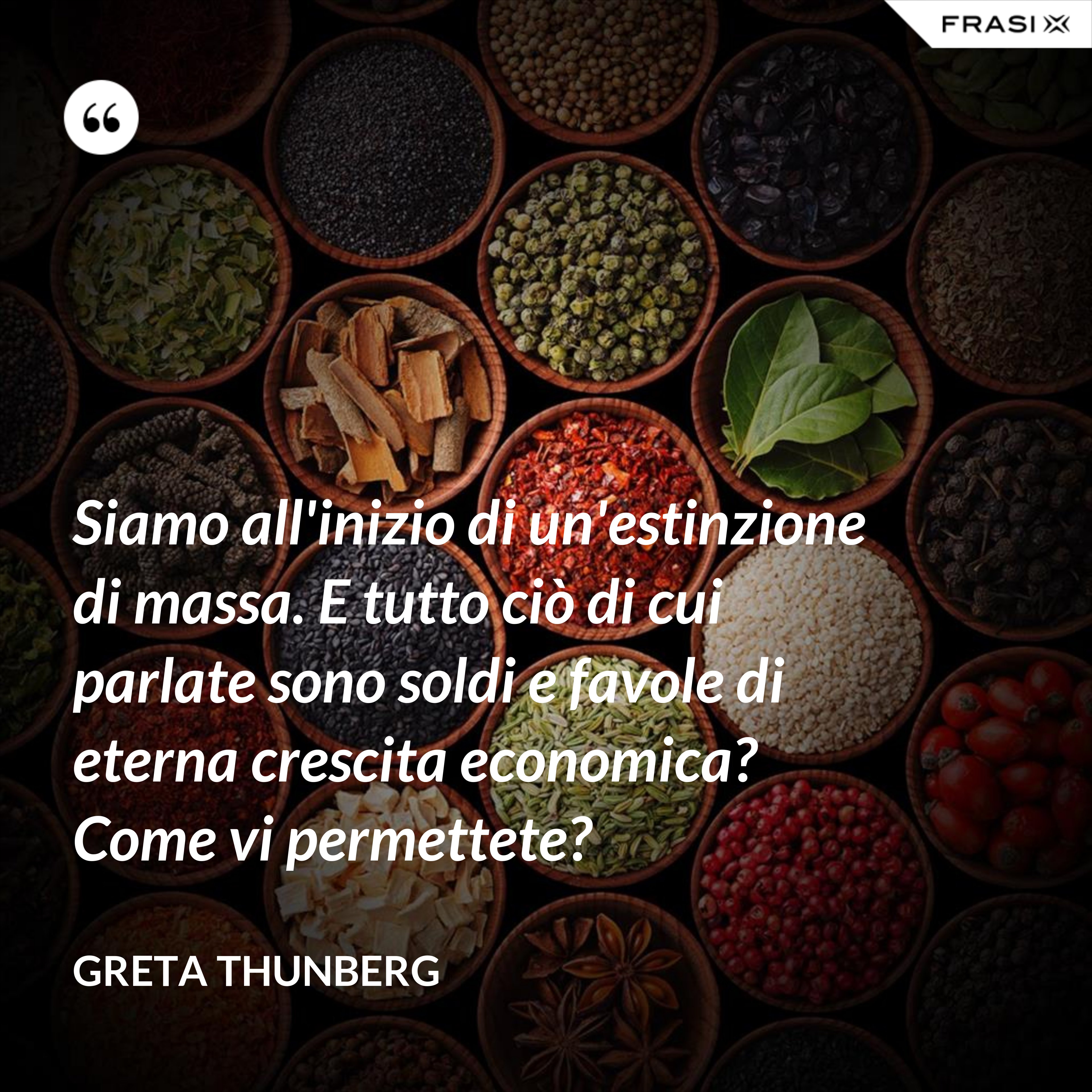 Siamo all'inizio di un'estinzione di massa. E tutto ciò di cui parlate sono soldi e favole di eterna crescita economica? Come vi permettete? - Greta Thunberg