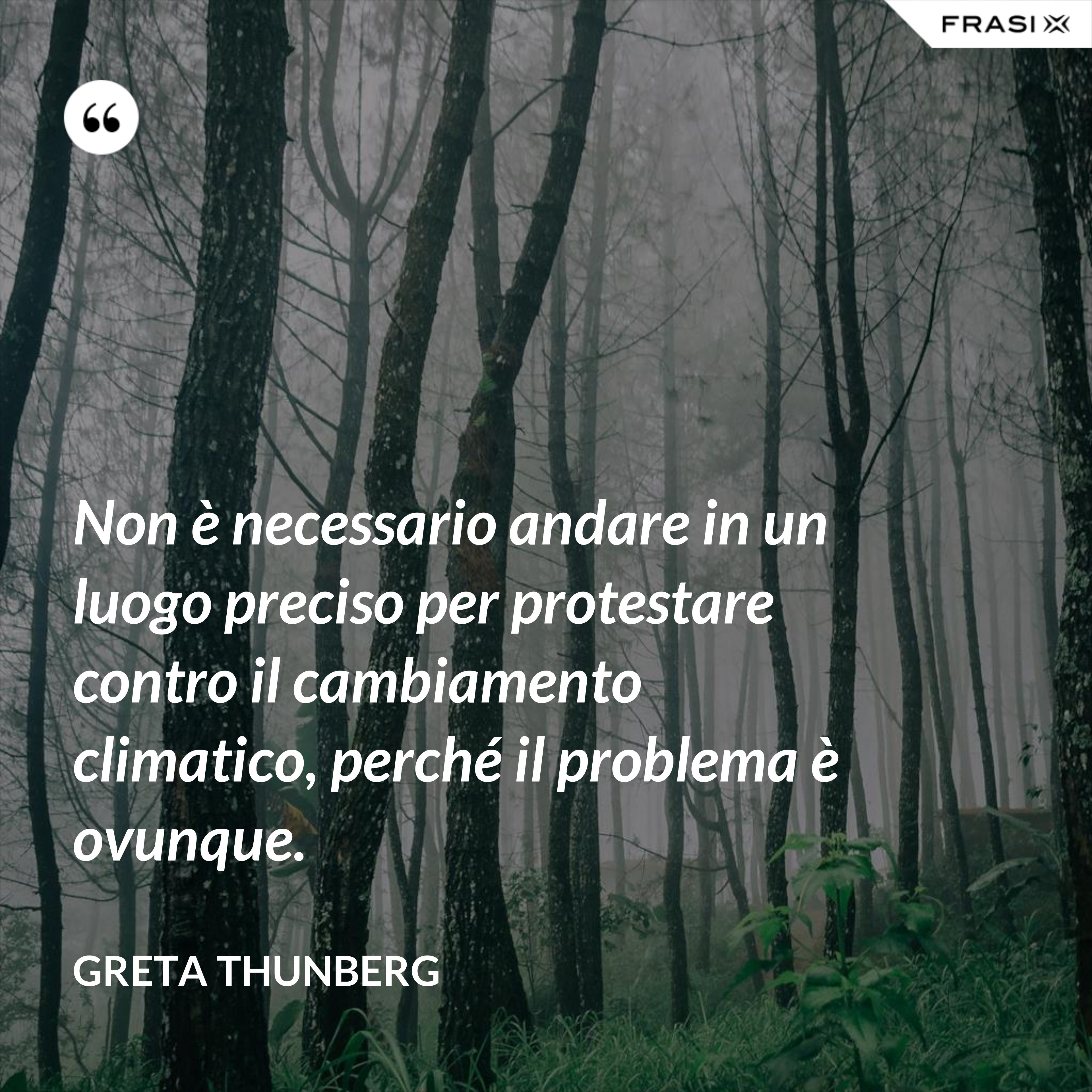 Non è necessario andare in un luogo preciso per protestare contro il cambiamento climatico, perché il problema è ovunque. - Greta Thunberg