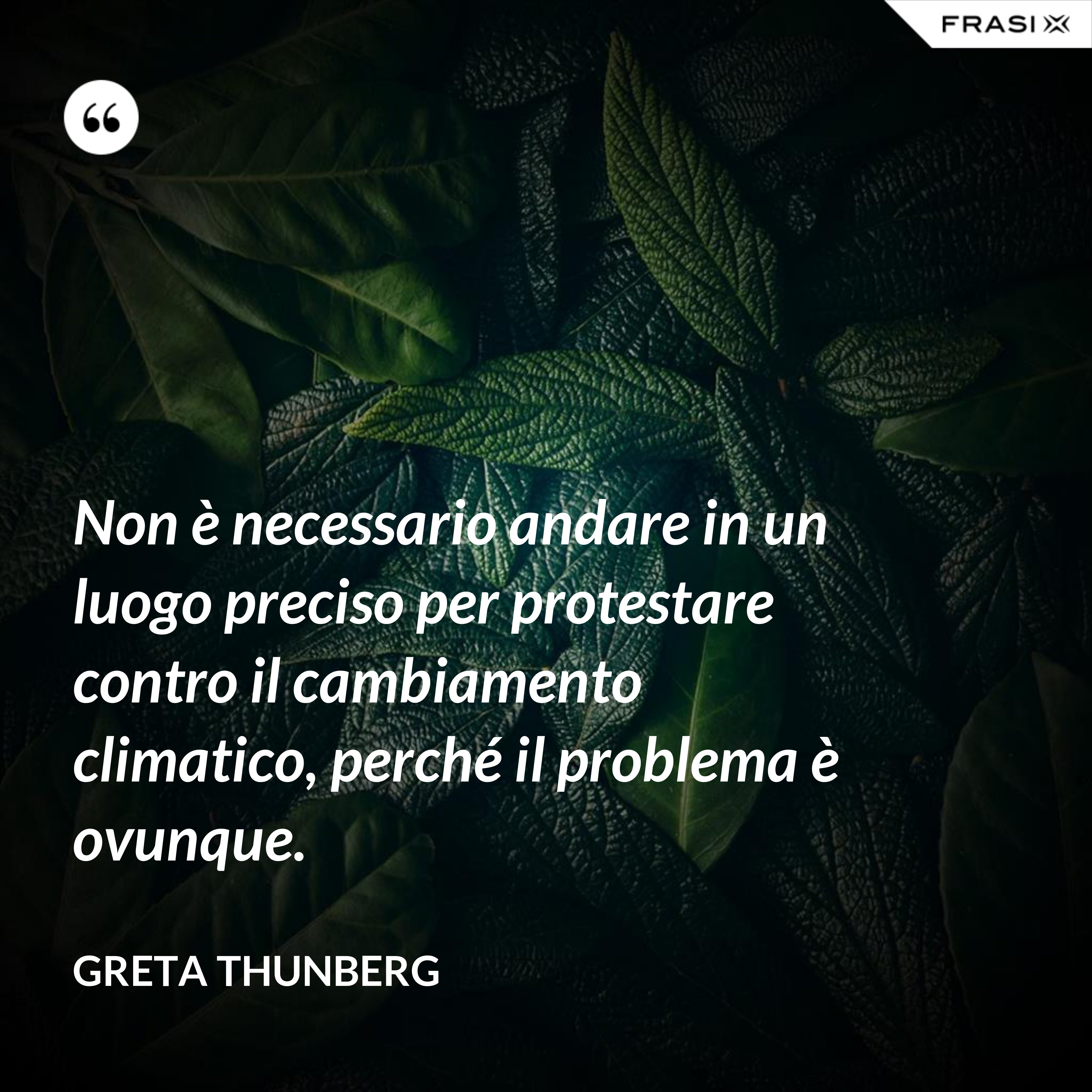 Non è necessario andare in un luogo preciso per protestare contro il cambiamento climatico, perché il problema è ovunque. - Greta Thunberg
