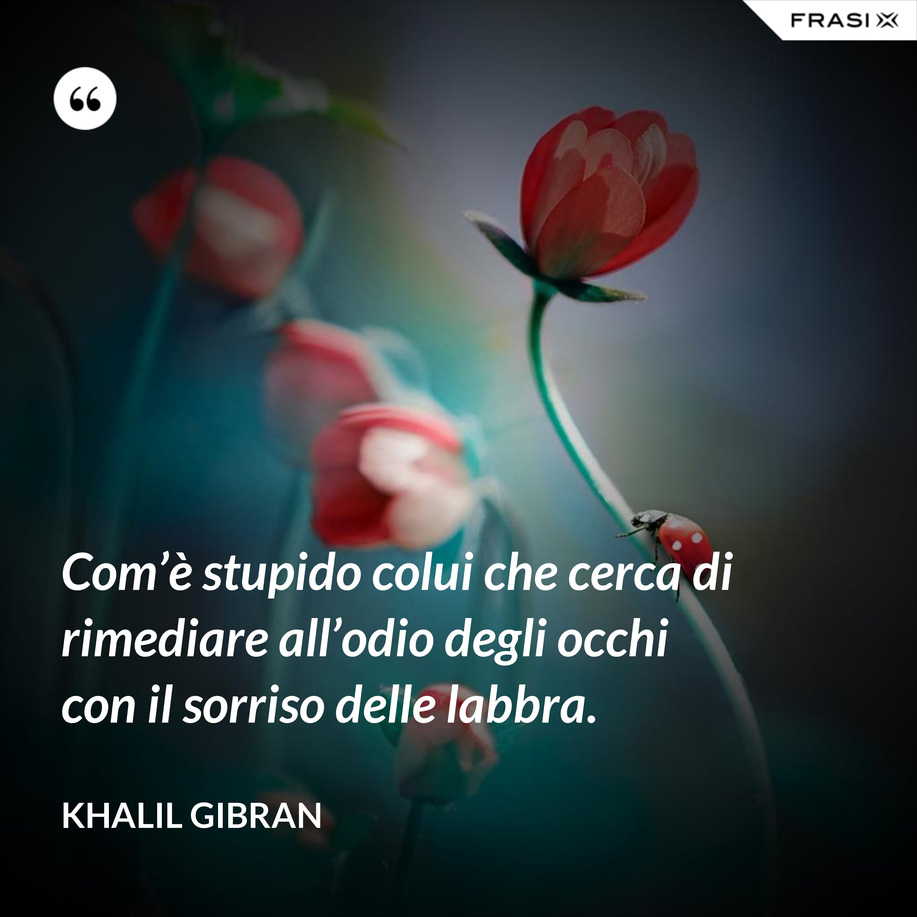 Com’è stupido colui che cerca di rimediare all’odio degli occhi con il sorriso delle labbra. - Khalil Gibran